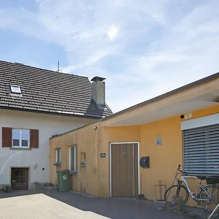 Panoramablick Lustenau